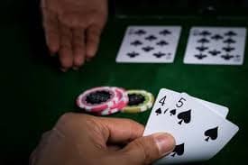 Show Bets